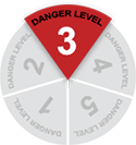 Level 3